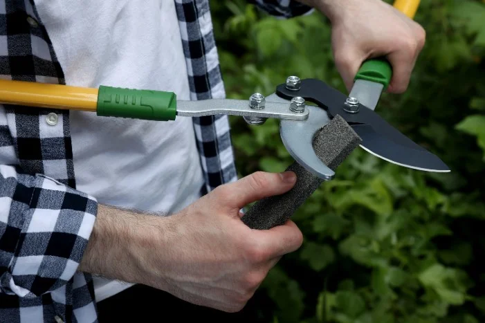 Person schärft Gartenschere